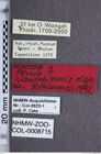 Etiketten zu Penia wangdiensis (NHMW-ZOO-COL-0008715)